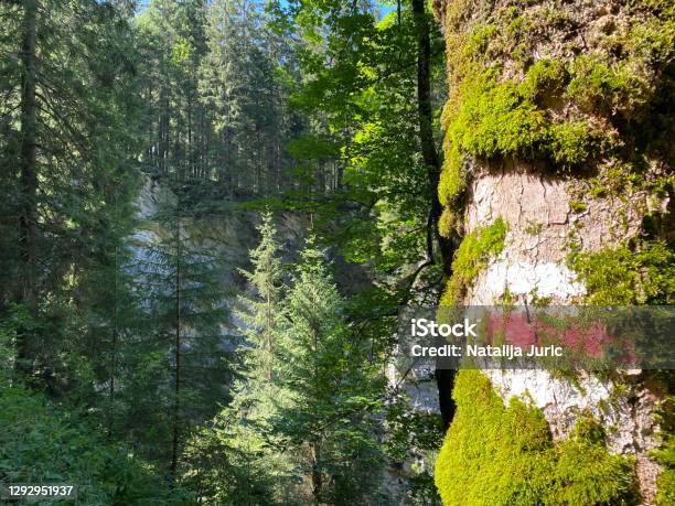 Mountaineering Signposts And Markings Along The Waterfalls Giessbach Falls Stock Photo - Download Image Now