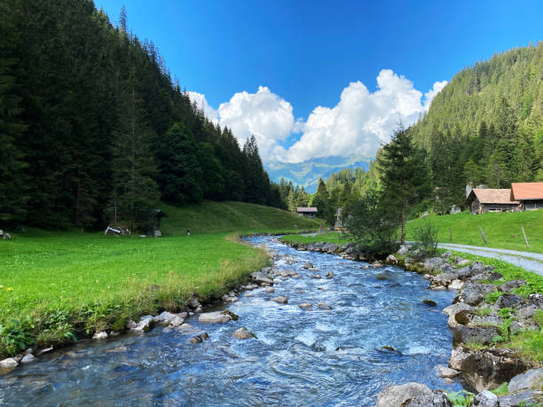 The Giessbach stream above Lake Brienz (Brienzersee) and in the eponymous nature park - Canton of Bern, Switzerland (Kanton Bern, Schweiz) stock photo