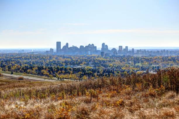 istock Pathways in Nose Hill Park in Calgary Alberta in the fall 1292953174