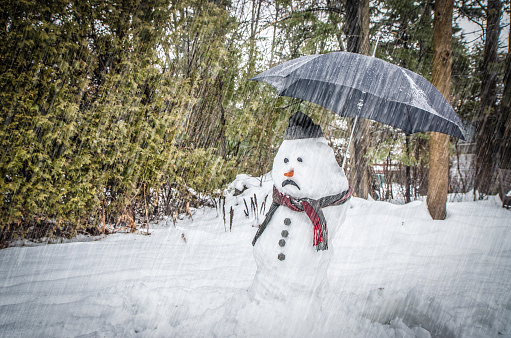 Sad snowman with umbrella under rain in forest during day of winter