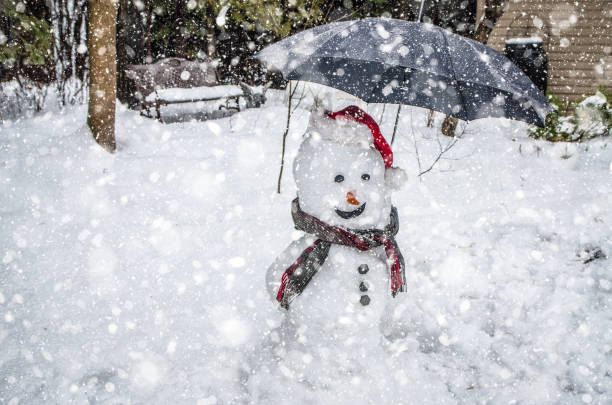 Happy snowman with umbrella and snow falling during day of winter