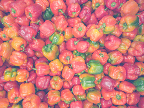 There are many multicoloured peppers available at the farmer's market