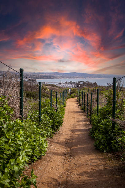 istock Sunset over Hiking trail above Dana Point Harbor 1292969248