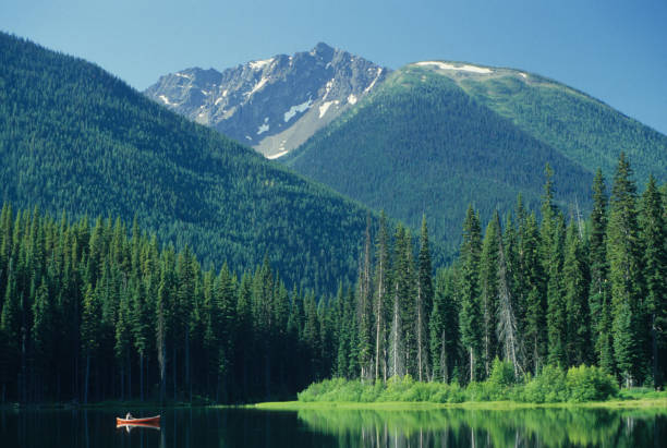 istock Canoeing on a mountain lake 1292973010