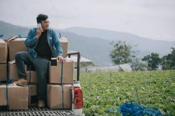 agricoltore maschio sorridente cinese asiatico che usa il telefono cellulare sul pick-up con confezioni di g appena raccolti - technology farm cameron highlands agriculture foto e immagini stock