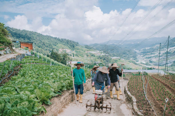 istock group of asian male farmers carrying their work tools walking back after work 1292973181