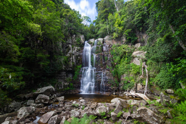 istock Minammurra Rainforest Falls 1292975316