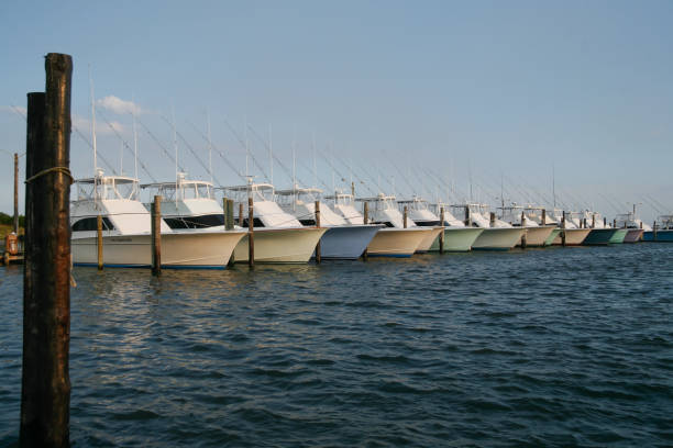 istock Row of yachts 1292976096