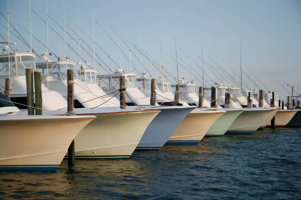 istock Row of yachts in marina 1292976611