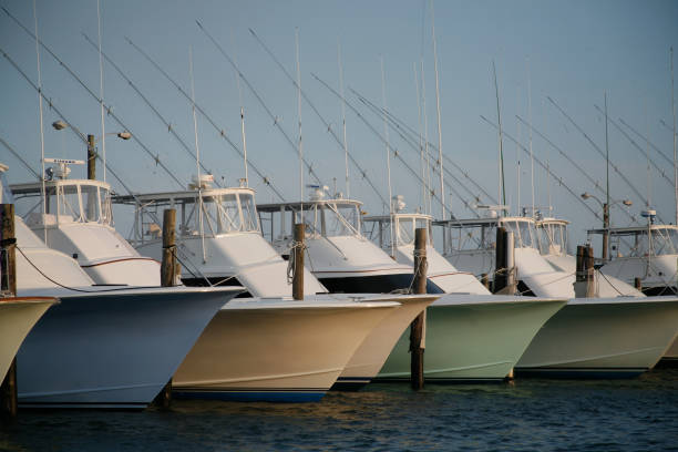 istock Row of yachts in marina 1292976710