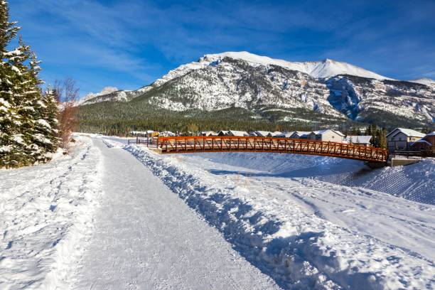 istock Pedestrain Footpath and Bridge over Cougar Canyon in Canmore, Alberta 1292977440