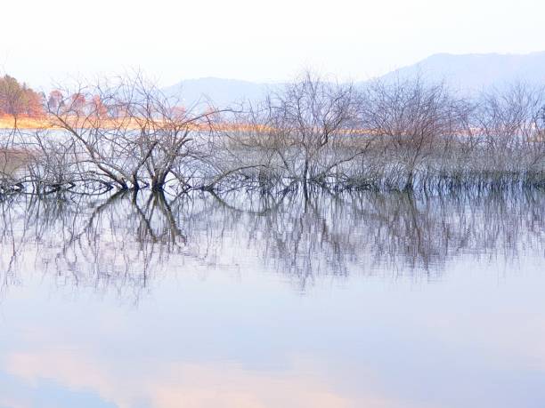 istock VH560-000Daecheongho1.jpg 1292979595
