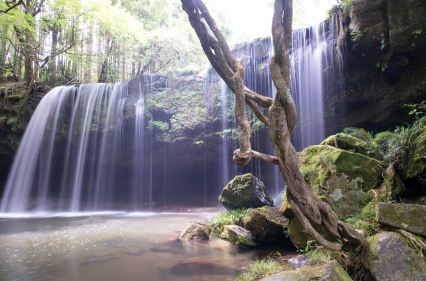 istock Nabegadaki-falls in Kumamoto prefecture, Japan 1292981026