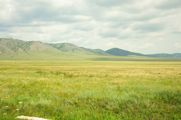 istock Hilly steppes running through a picturesque valley on a sunny summer day. 1292983587