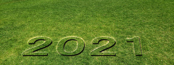 istock 3D illustration of 2021 numbers emerging on green grass 1292985940