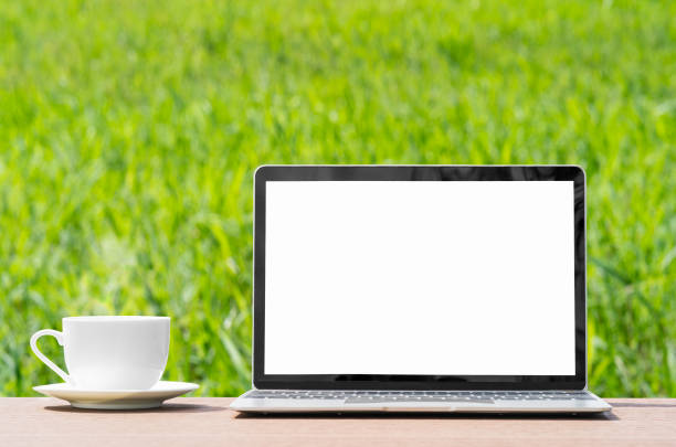 istock laptop and cofree cup on wood plank agent grass field 1292986015