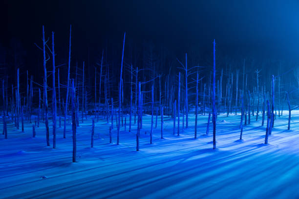The famous Shirogane Blue Pond of Biei in Hokkaido. A very popular tourist destination thanks to its startling blue water.