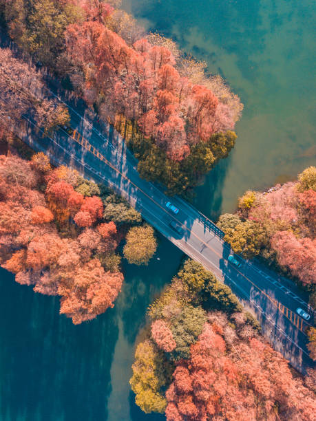 istock West lake aerial view in autumn 1292988744