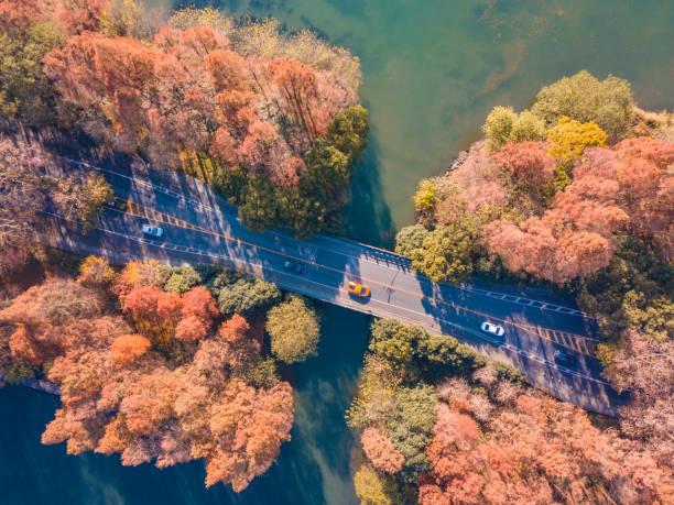 istock West lake aerial view in autumn 1292989355