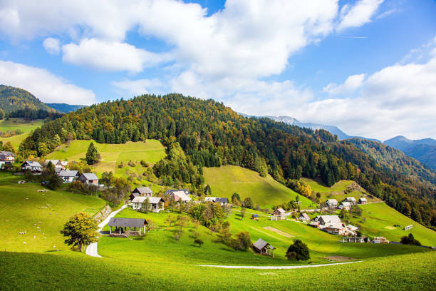 istock Small village in Julian Alps 1292998709