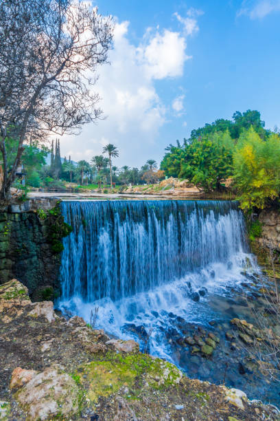 Waterfall in Gan HaShlosha National Park View of a waterfall in Gan HaShlosha National Park (Sakhne), in the Bet Shean Valley, Northern Israel beit shean photos stock pictures, royalty-free photos & images