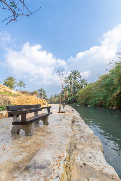 Footpath and a bench in Gan HaShlosha National Park Footpath and a bench along the Amal stream, in Gan HaShlosha National Park (Sakhne), in the Bet Shean Valley, Northern Israel beit shean photos stock pictures, royalty-free photos & images