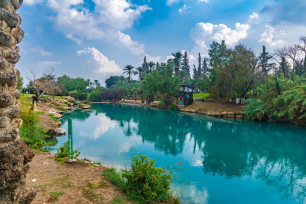 Natural warm water pool in Gan HaShlosha National Park View of natural warm water pool in Gan HaShlosha National Park (Sakhne), in the Bet Shean Valley, Northern Israel beit shean photos stock pictures, royalty-free photos & images