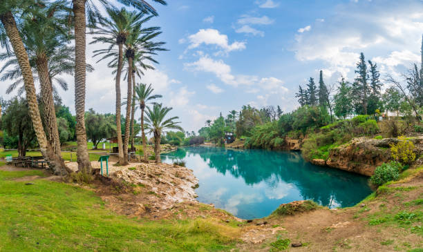 istock Natural warm water pool in Gan HaShlosha National Park 1293001073