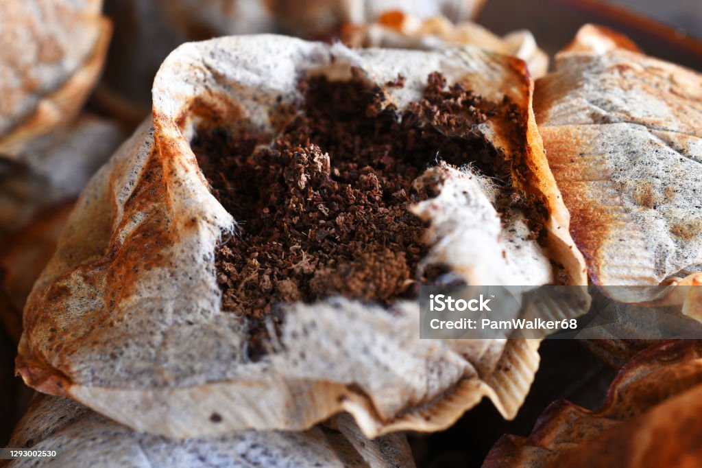 Broke Tea Broken Used Tea Bag Close Up Stock Photo - Download Image Now - Blended ...