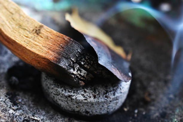 Burning Palo Santo and Bay Leaf