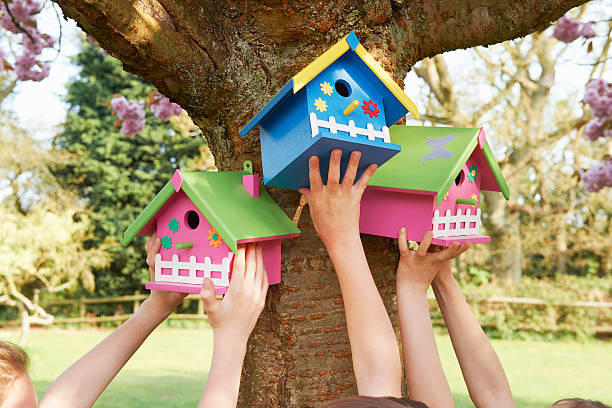 crianças pendurar birdhouses na árvore - birdhouse imagens e fotografias de stock