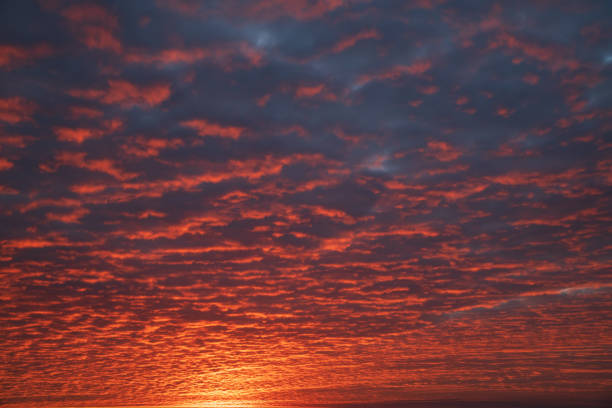 Autumn dawn with beautiful pinnate clouds. Beautiful sky.