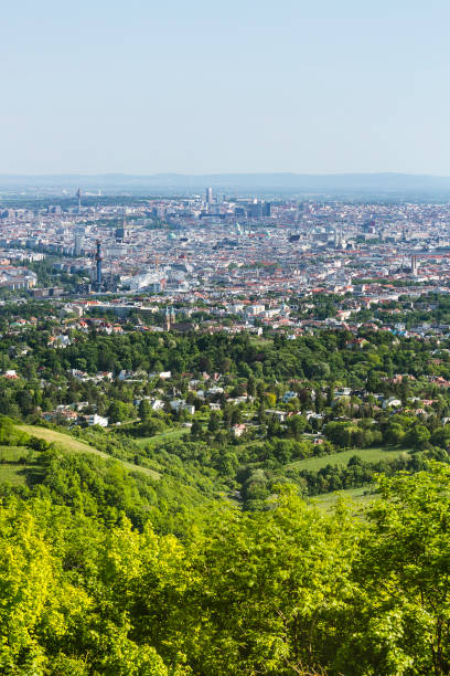 istock Vienna City Center View, Austria 1293007041
