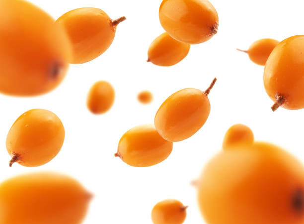 frutos do mar de espinheiro levitam em um fundo branco - sea buckthorn - fotografias e filmes do acervo