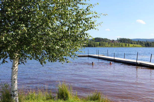 meninos nadando em lago perto do cais - sweden summer swimming lake - fotografias e filmes do acervo