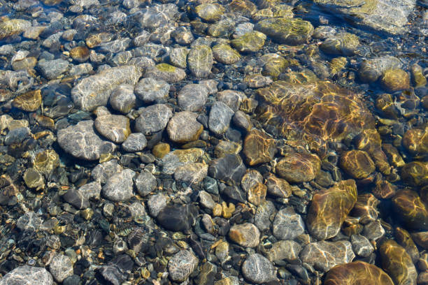 águas cristalinas do rio da montanha. - stone rock river pebble - fotografias e filmes do acervo