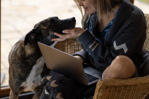 istock Caucasian woman using a laptop 1293020475