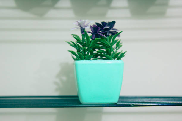 Green plastic flower pot.An artificial flower, Wall decoration,