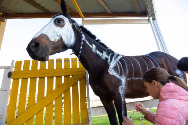 Photo of Girl with watercolors paints a skeleton on a horse to celebrate Halloween