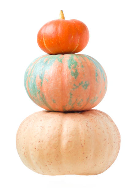 istock Bright, orange-green and orange pumpkins isolated 1293023375
