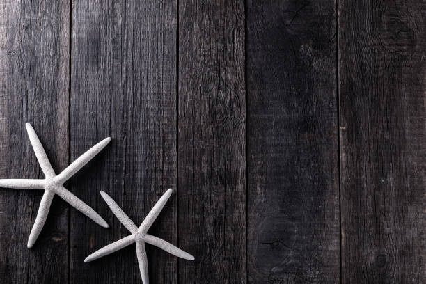 istock Starfishes on wooden rustic background 1293032248