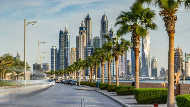 lungomare sul palm jumeirah con palme al timelapse della strada. dubai, emirati arabi uniti - middle of the road immagine foto e immagini stock