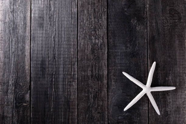 istock Starfish on wooden rustic background. Travel concept 1293033120