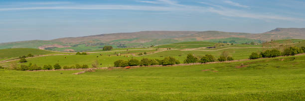 cerca de smardale, cumbria, inglaterra - kirkby stephen fotografías e imágenes de stock