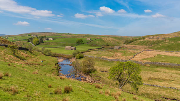 istock Between Birkdale and Keld, North Yorkshire, England 1293038767