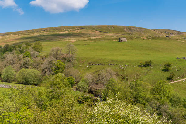 istock Near Keld, North Yorkshire, England 1293038782