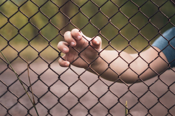 istock Children's hand on a metal wire fence 1293041443