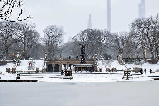 Scene from Oslo city after a heavy snowfall in December 2022.  People playing in the park at St.Hanshaugen.