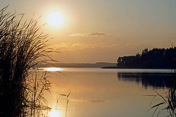 istock Quiet evening over the lake. Bright sunset and ducks on the water surface. Summer. 1293044828