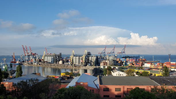 istock Industrial port landscape with red warehouse buildings and grain elevators under cloudscape 1293046542